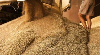 �C�mo detectar el nivel durante el almacenamiento de cereales?