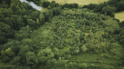 ATMI se compromete con los bosques junto a EcoTree