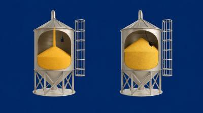 �C�mo Elegir el Detector de Nivel para S�lidos Adaptado a su Silo?