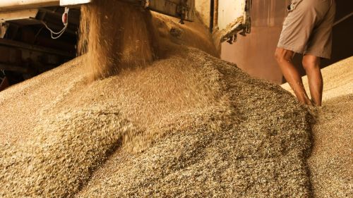 �C�mo detectar el nivel durante el almacenamiento de cereales?