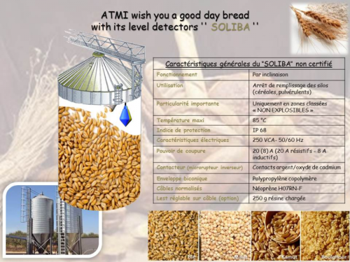 D�a del Pan 2015 - Soluciones ATMI