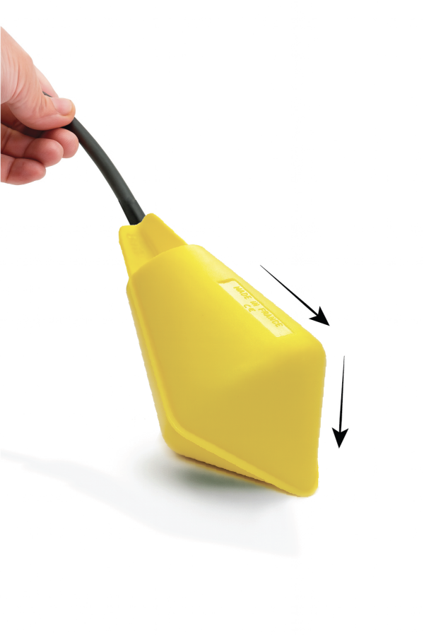 Forma bic�nica